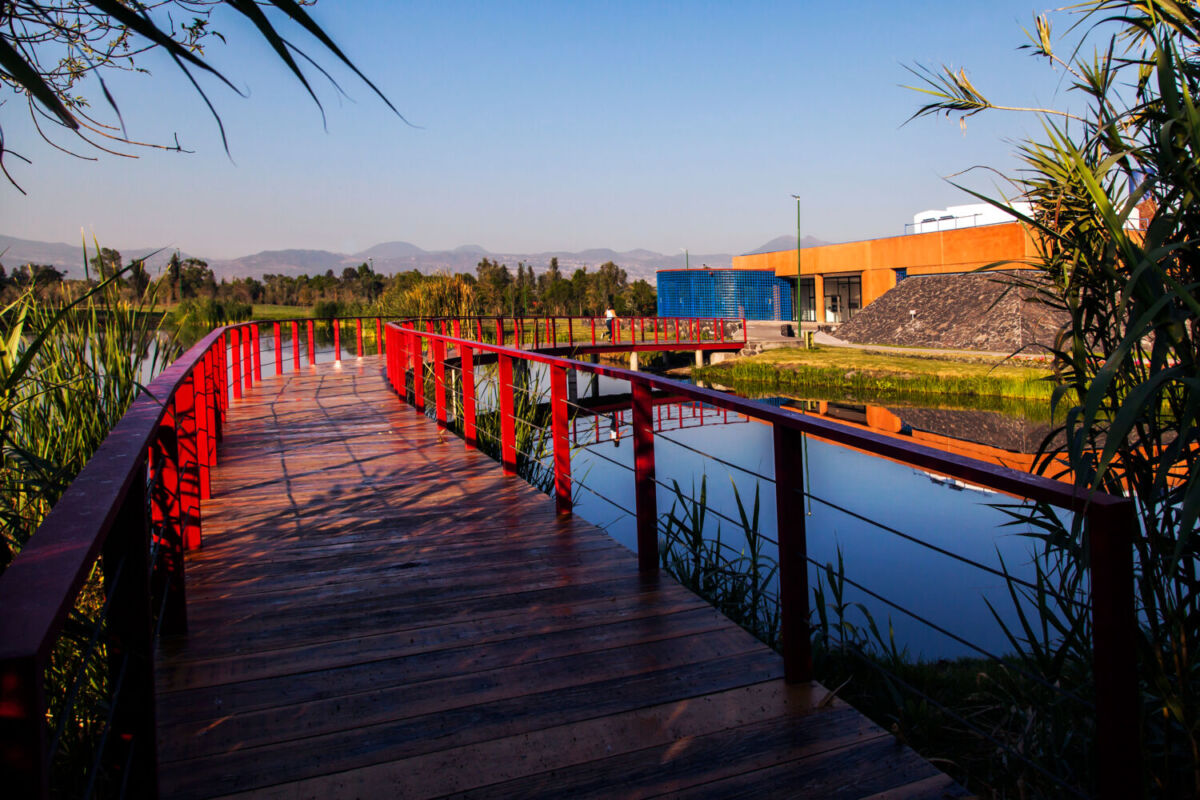 Parques románticos en la CDMX para pasear en San Valentín