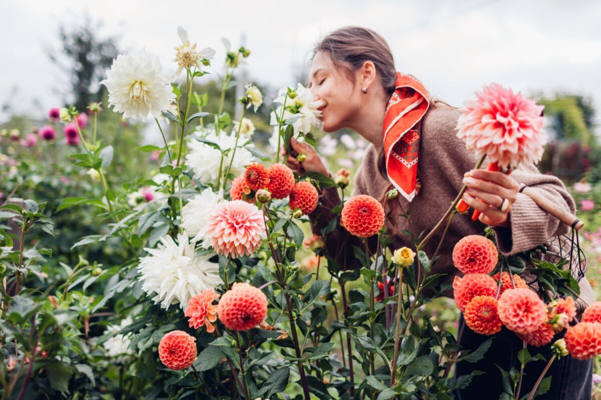 Perfumes florales que logran que todo el mundo piense que hueles delicioso cuando los saludas