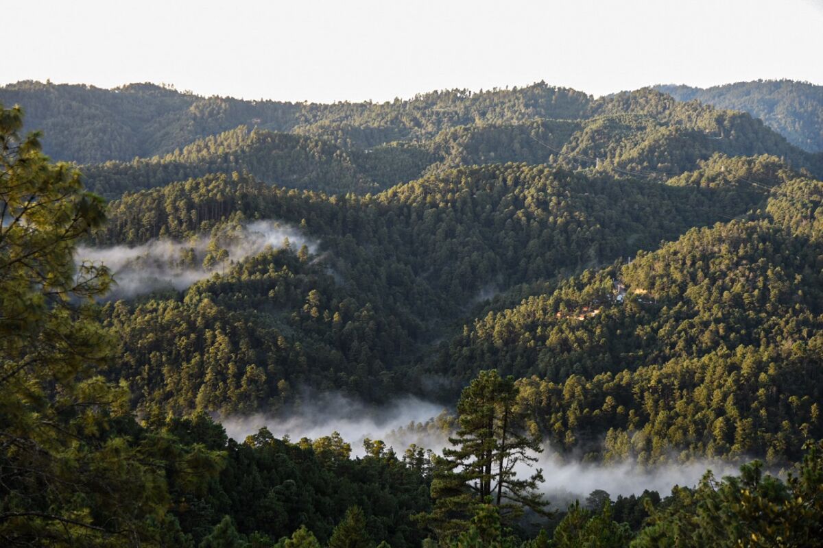 vistas en San José del pacífico
