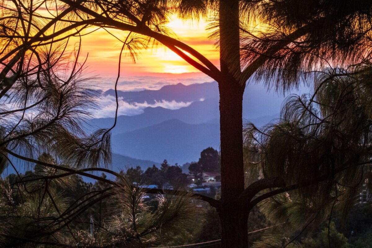 vistas en san josé del pacífico