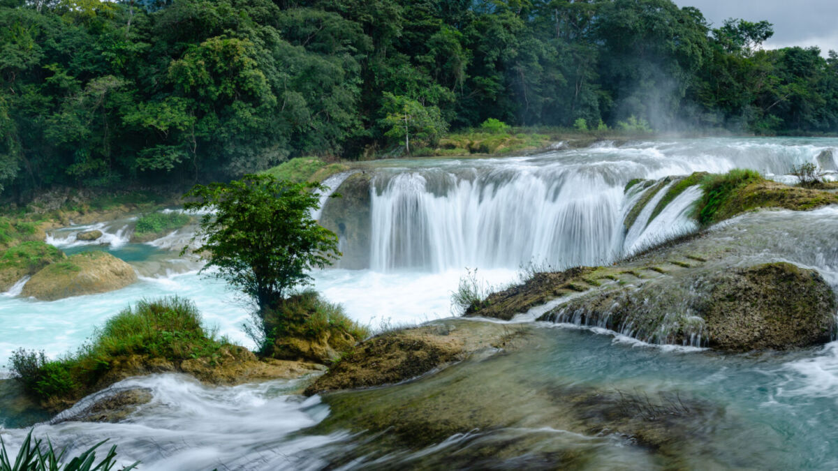 Esta reserva esta nclavada en el corazón de la selva Lacandona, al sur del estado de Chiapas