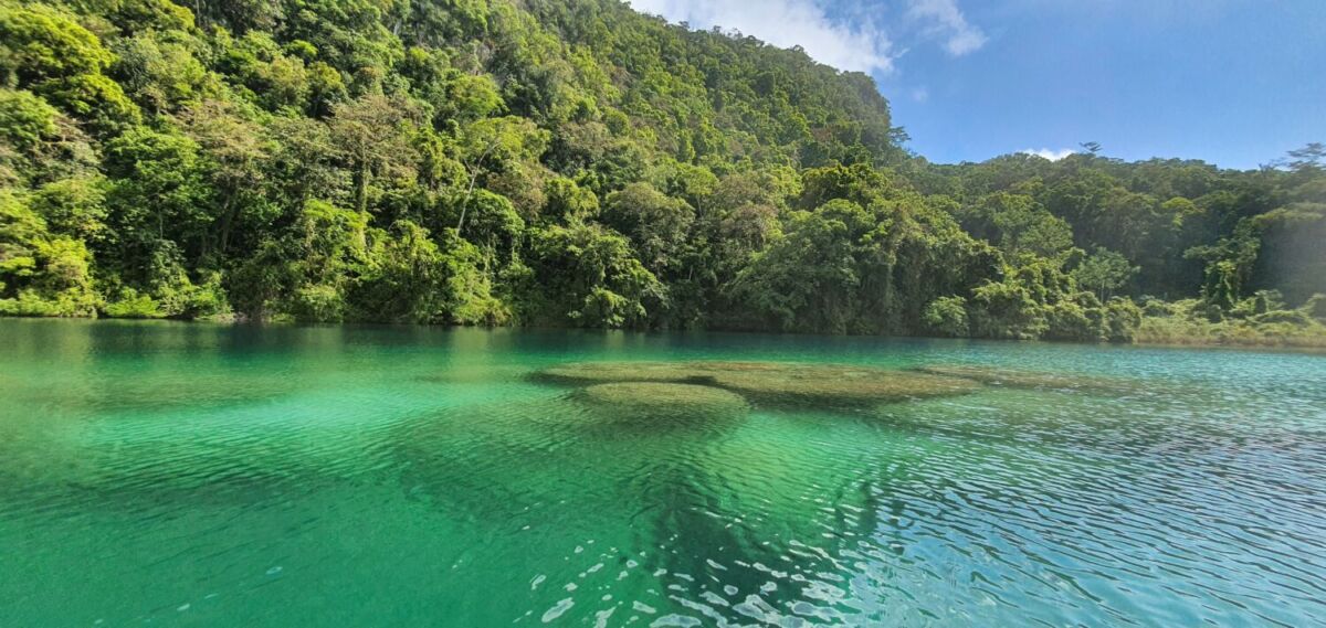 La Reserva de la Biósfera Montes Azules se ubica en Chiapas, en el corazón de la selva Lacandona 
