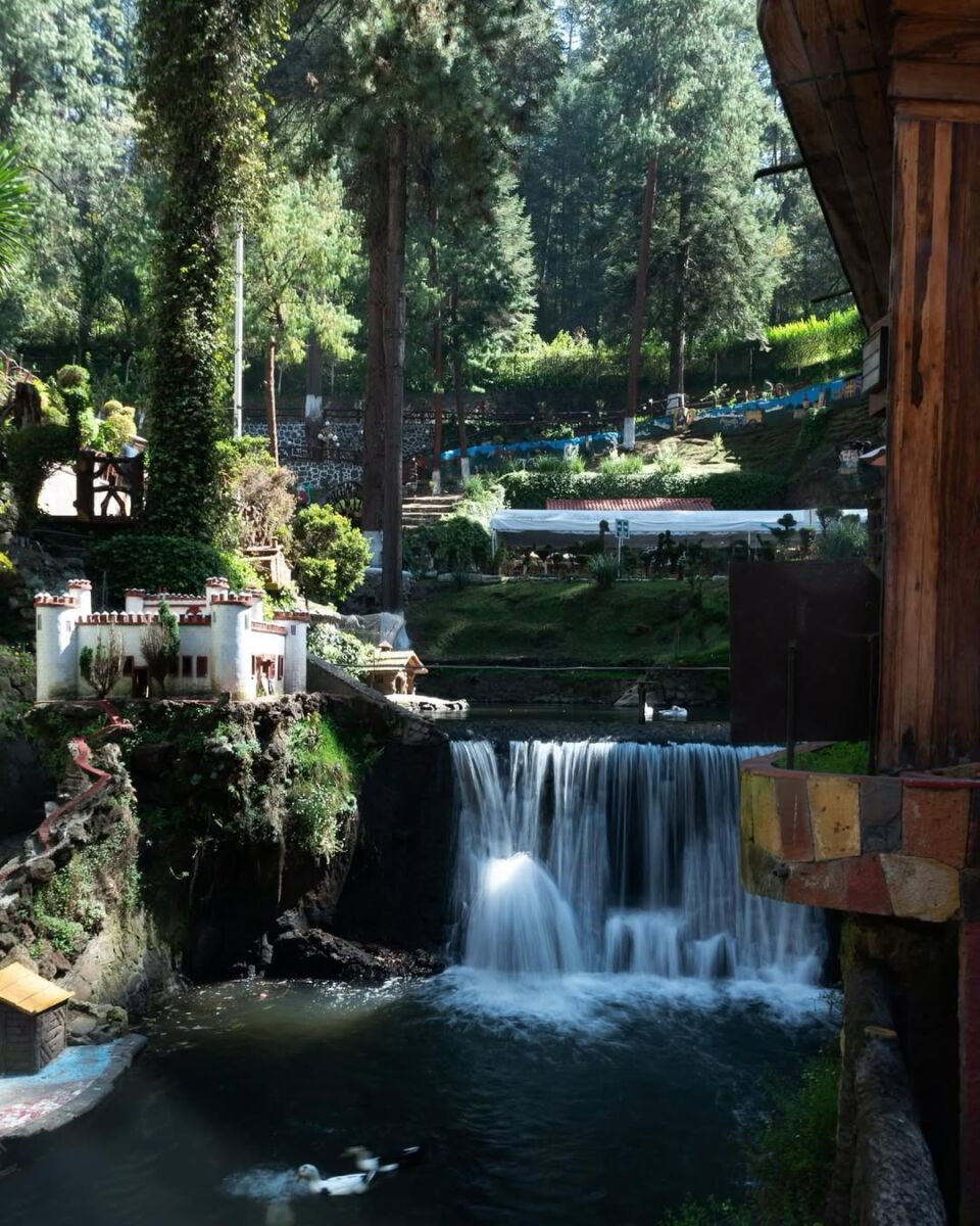 Dónde comer en La Marquesa 