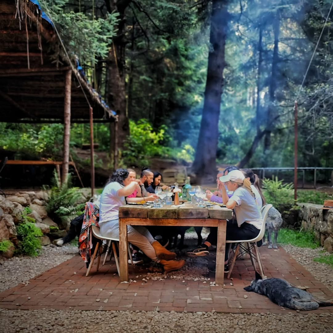 restaurantes en el bosque