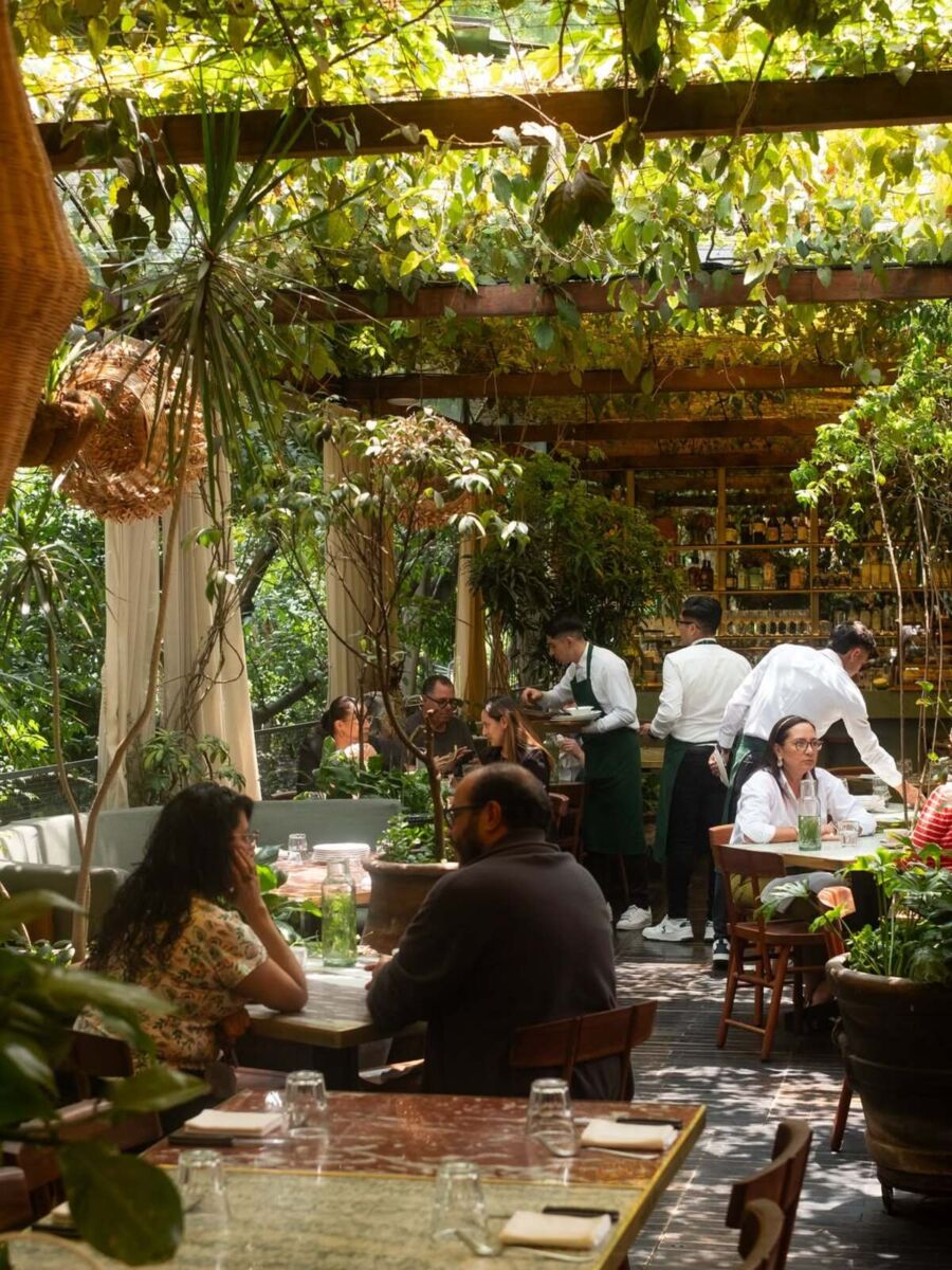 Entre mesas al sol y jardines secretos: en estas casonas de la CDMX se come delicioso