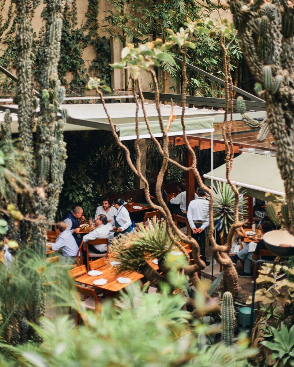 Botánico es un restaurante con jardín en la colonia Condesa 