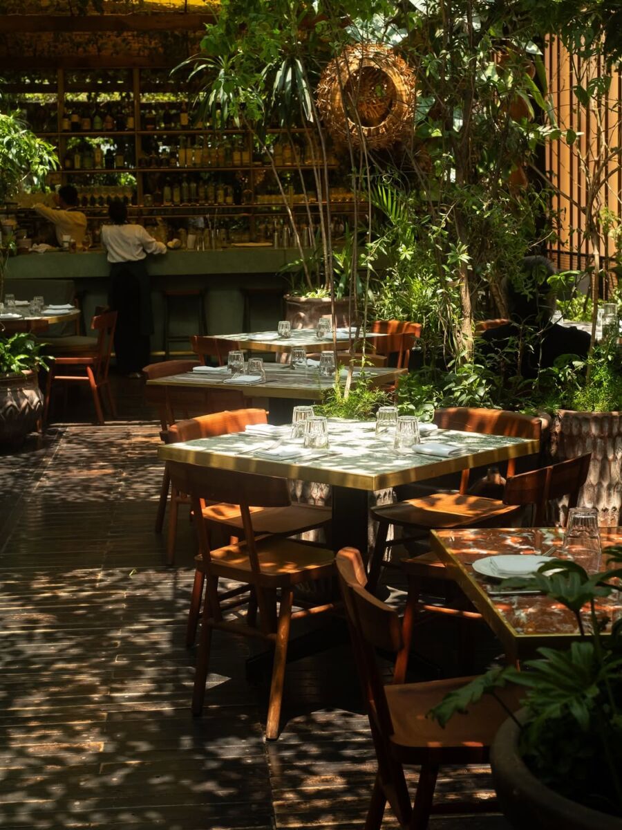 Bella Aurora es una terraza en la colonia Roma 