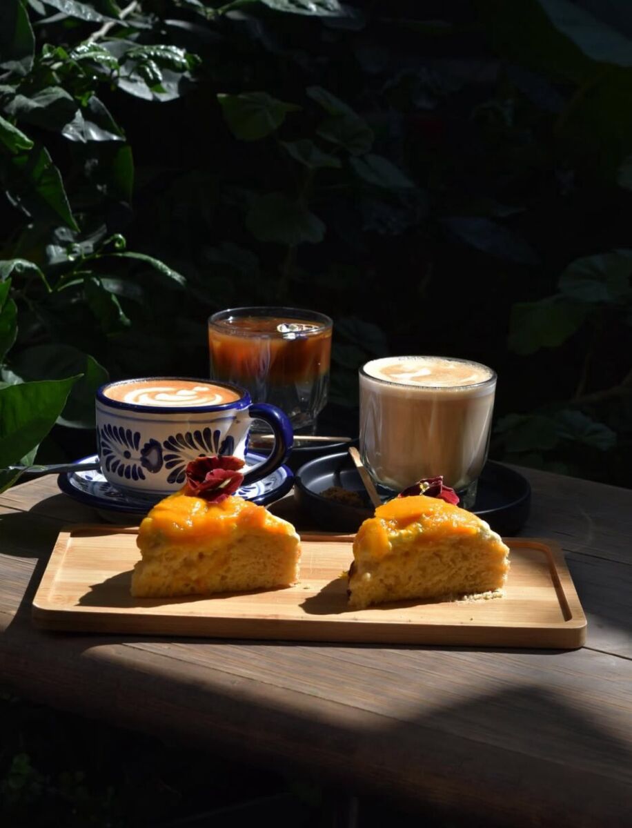 cafeteria xolo café