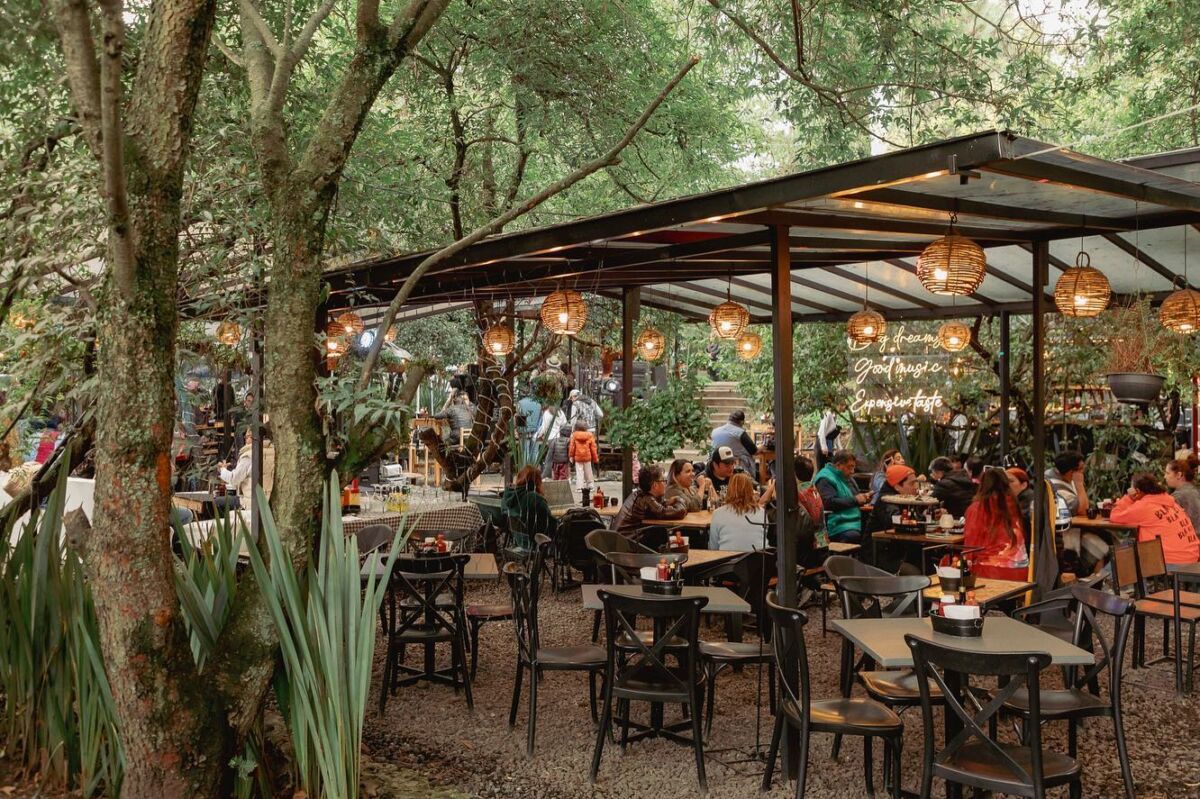 Si te urge respirar aire fresco, en estos restaurantes en el bosque están cerca de la CDMX (te rodeas de árboles y comes delicioso)