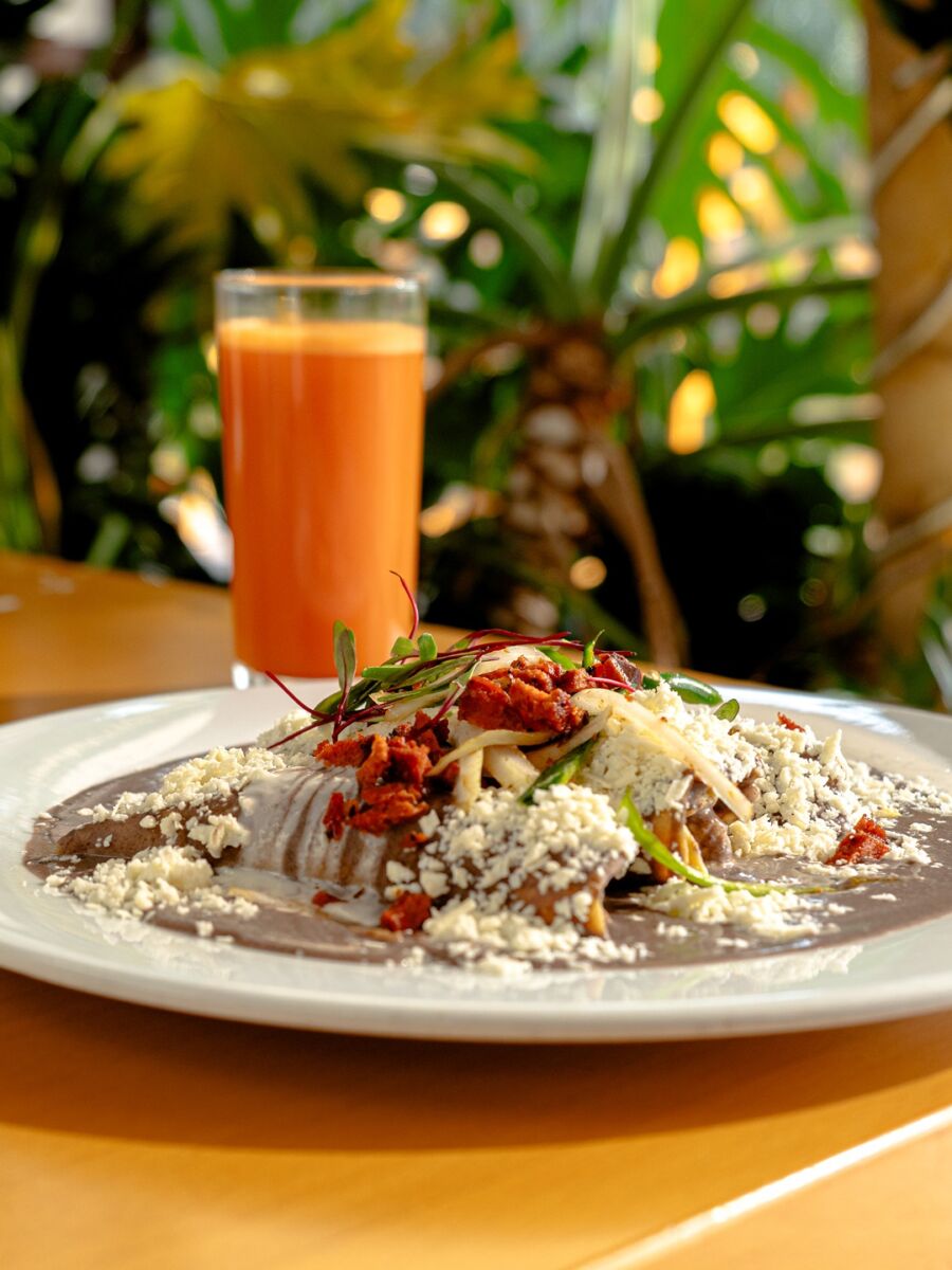 dónde comer en Chapultepec 