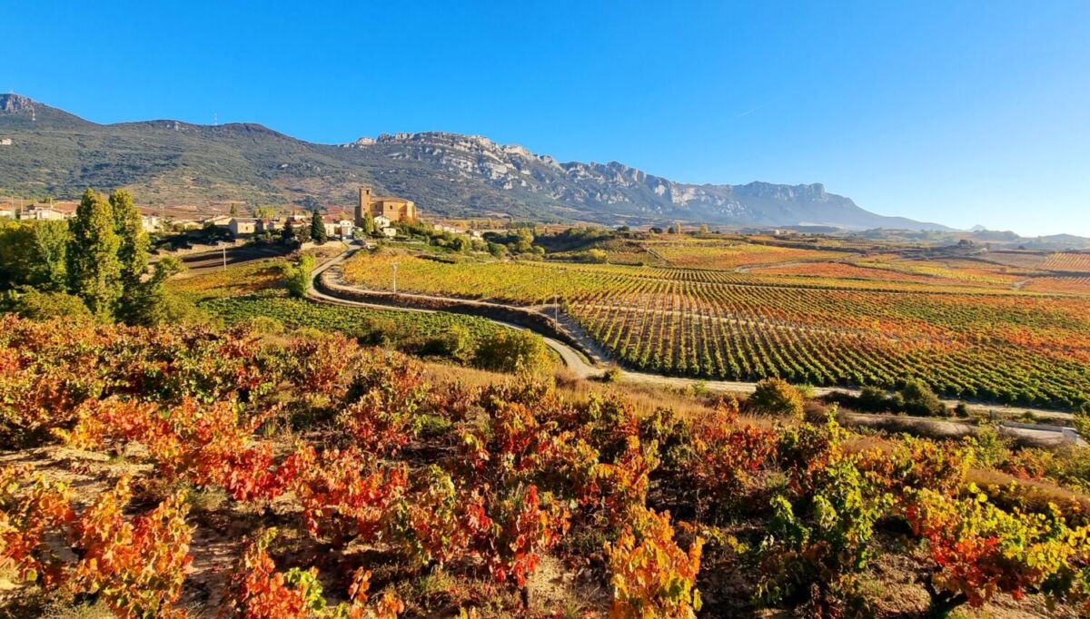 rioja alavesa