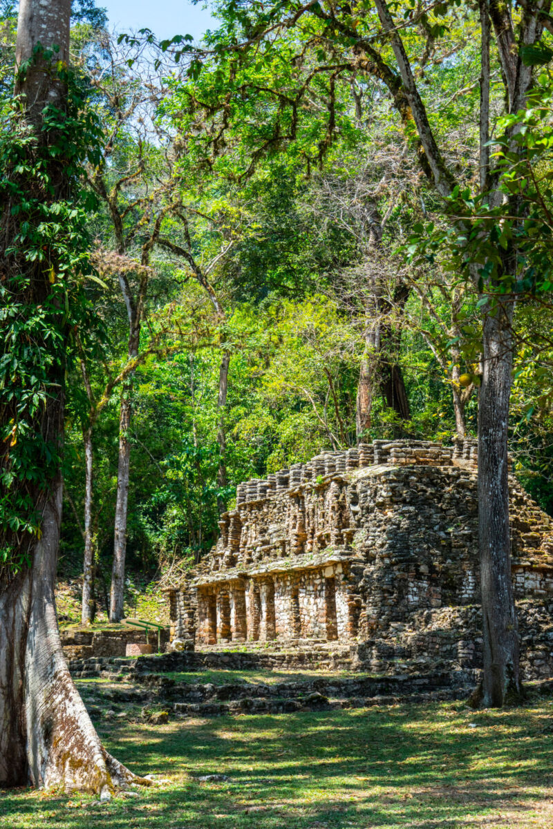 Zona Arqueológica de Yaxchilán 