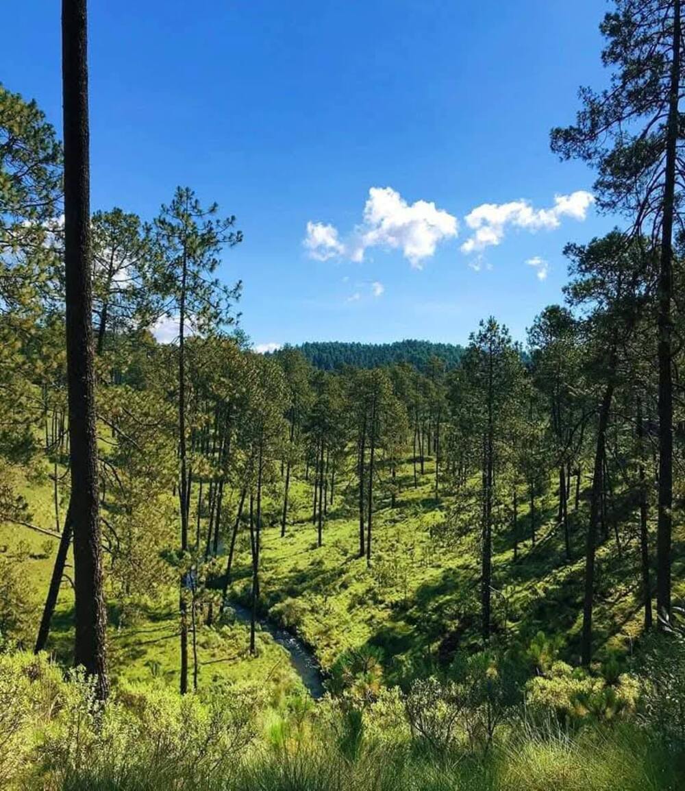 Amanalco, Estado de México