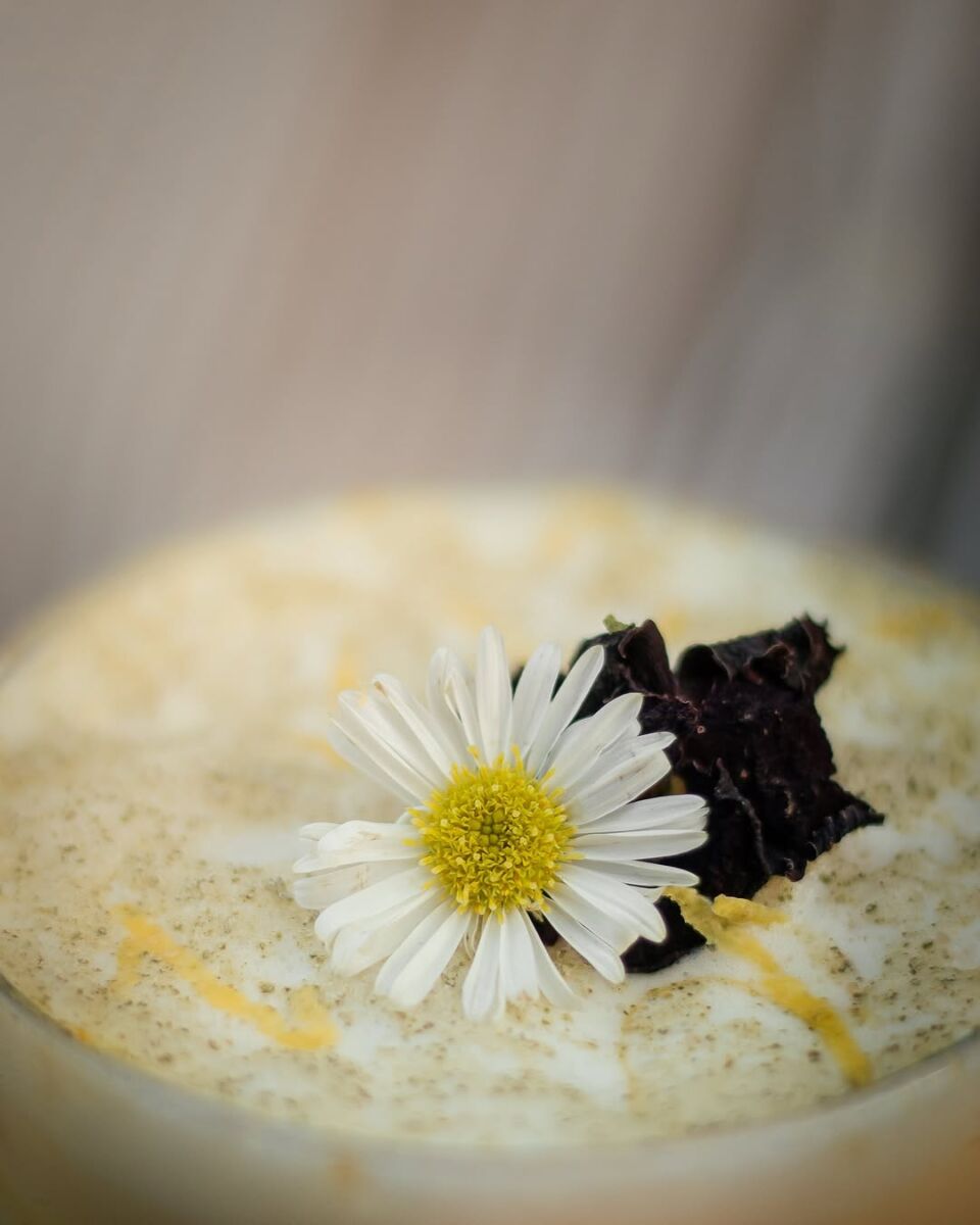 toma cerrada de una bebida espumosa decorada con una flor de manzanilla