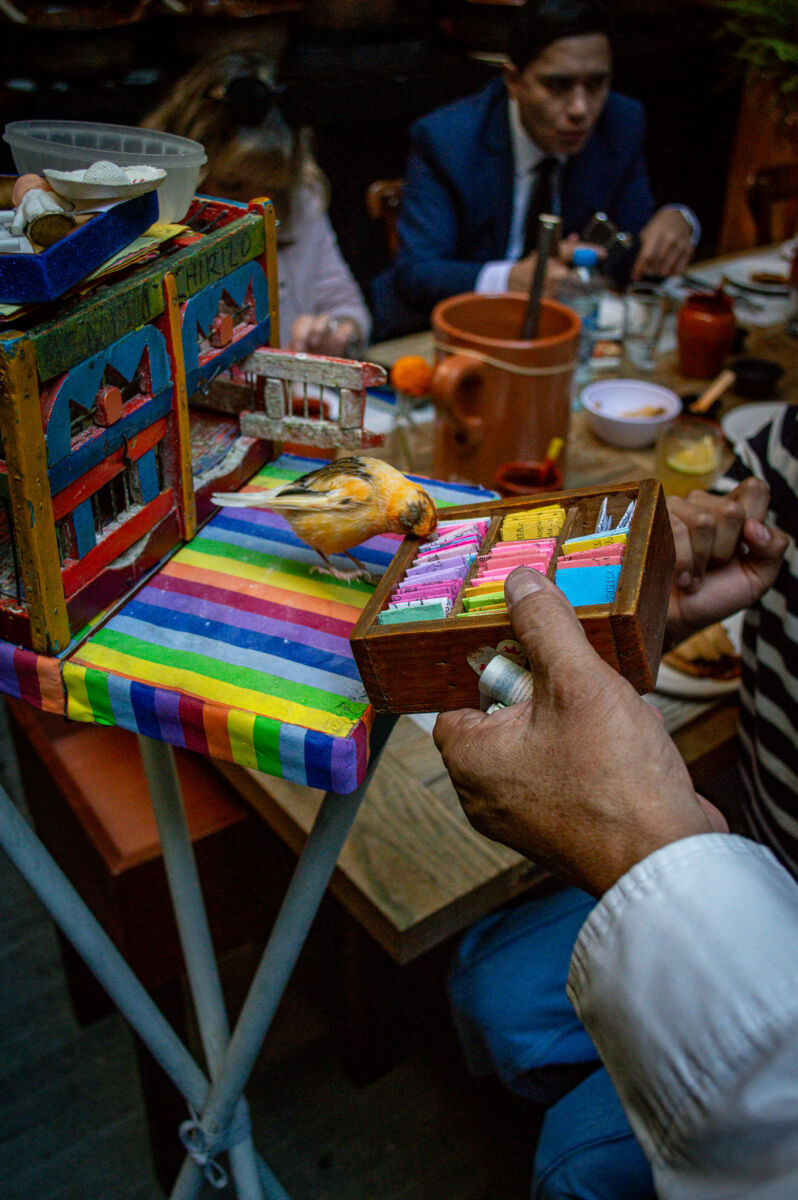 pájaro amarillo sacando un papel de una caja llena de papeles de colores