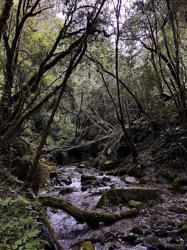La Casada de la Burbuja tiene una caída de 15 metros de altura