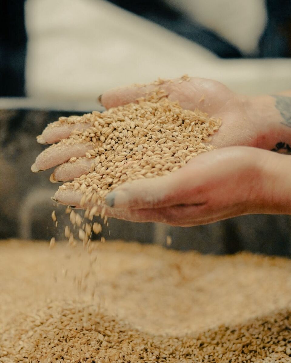 Cerveza Calladita Nunca en Yeccan
