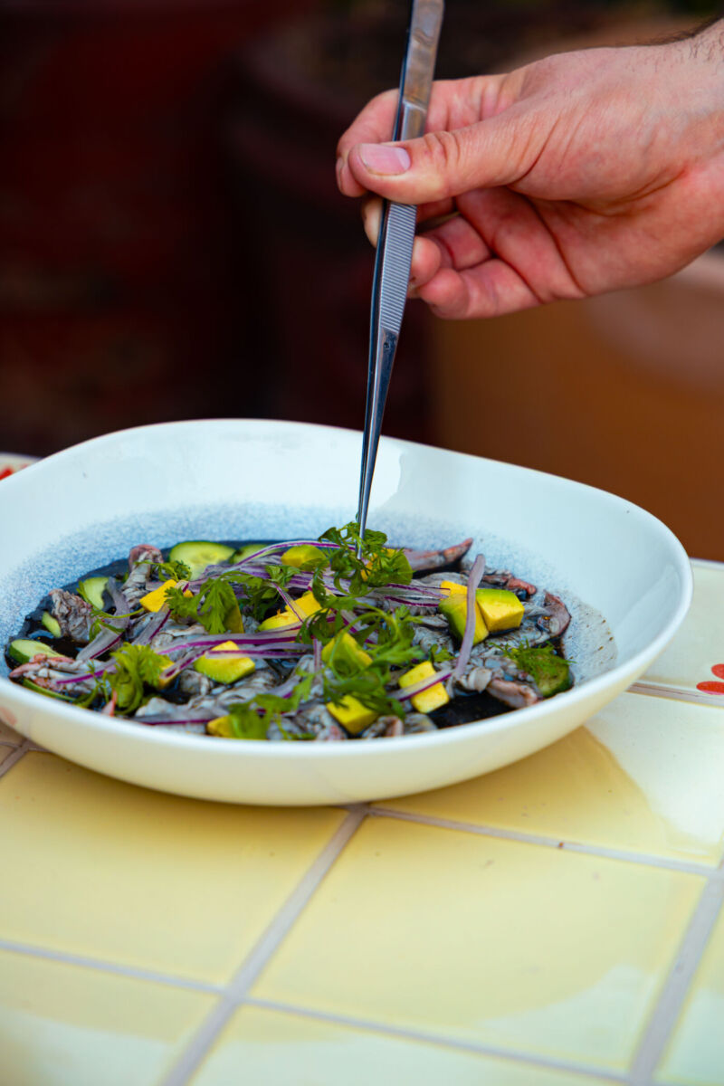 ceviches y aguachiles san ángel