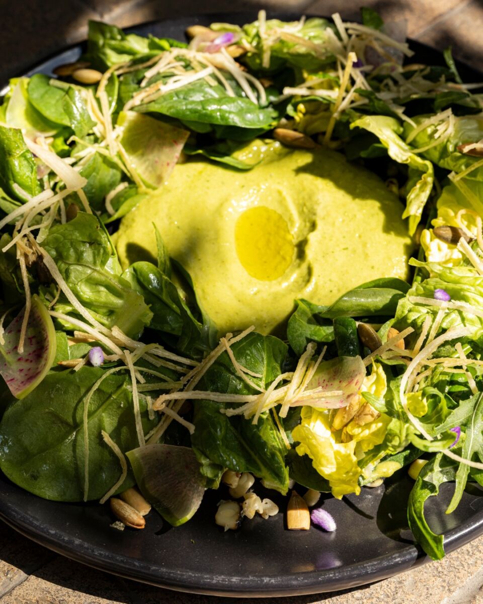 Ensalada de lechugas en ROCASAL