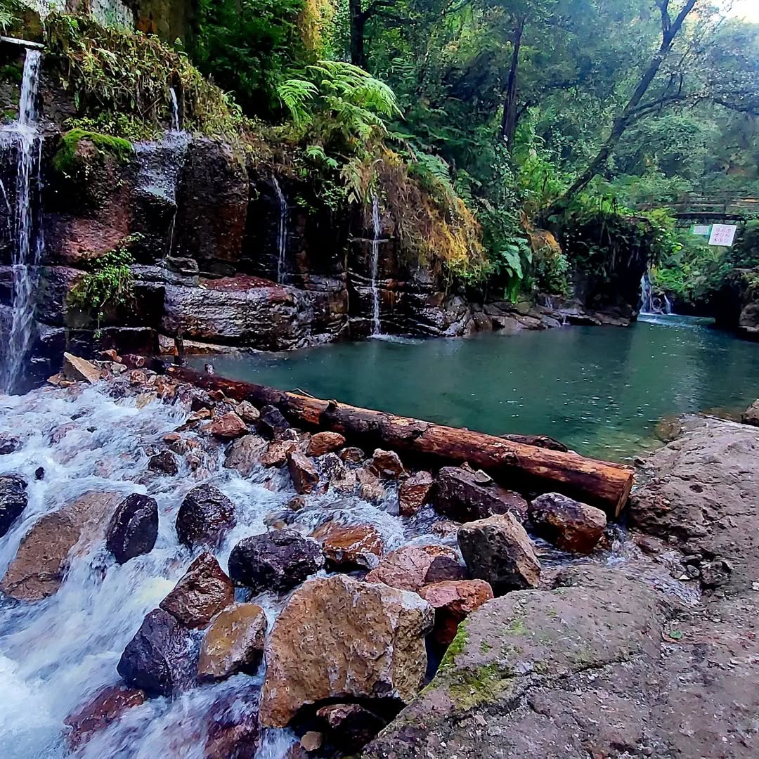 cabañas en pancho poza, veracruz, el rincón de pancho