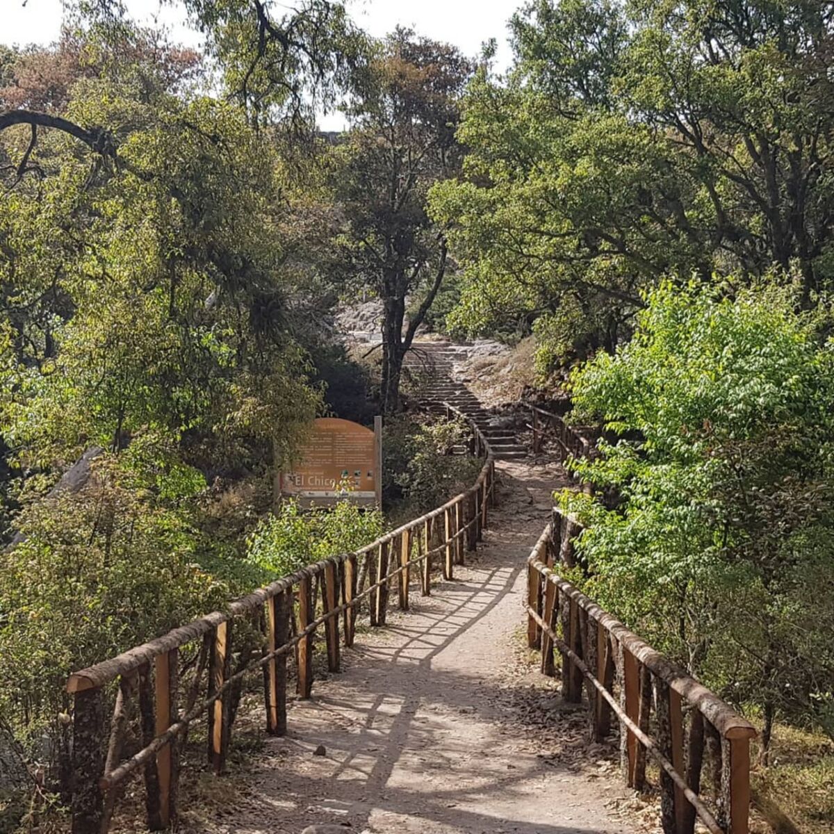 Sendero a la Peña del Cuervo en Parque Nacional El Chico