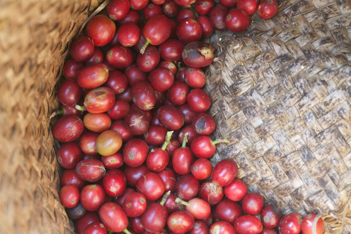 Pueblo Mágico de Coatepec