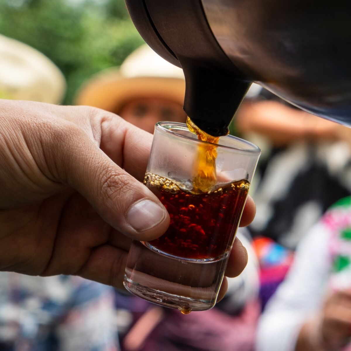 Feria Nacional del Cafe Coatepec