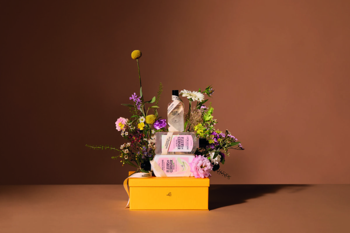 fleurs de cerisier the blanc l'occitane