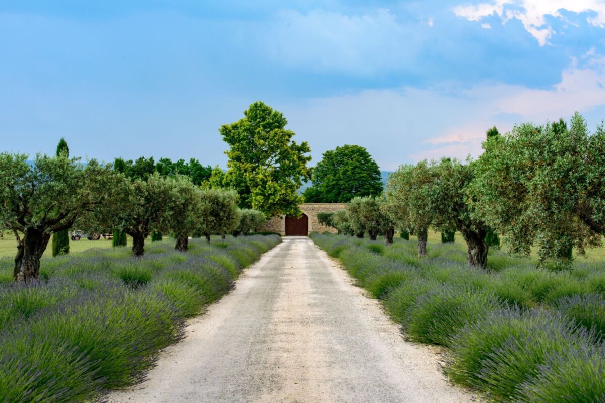 Provenza francesa en primavera