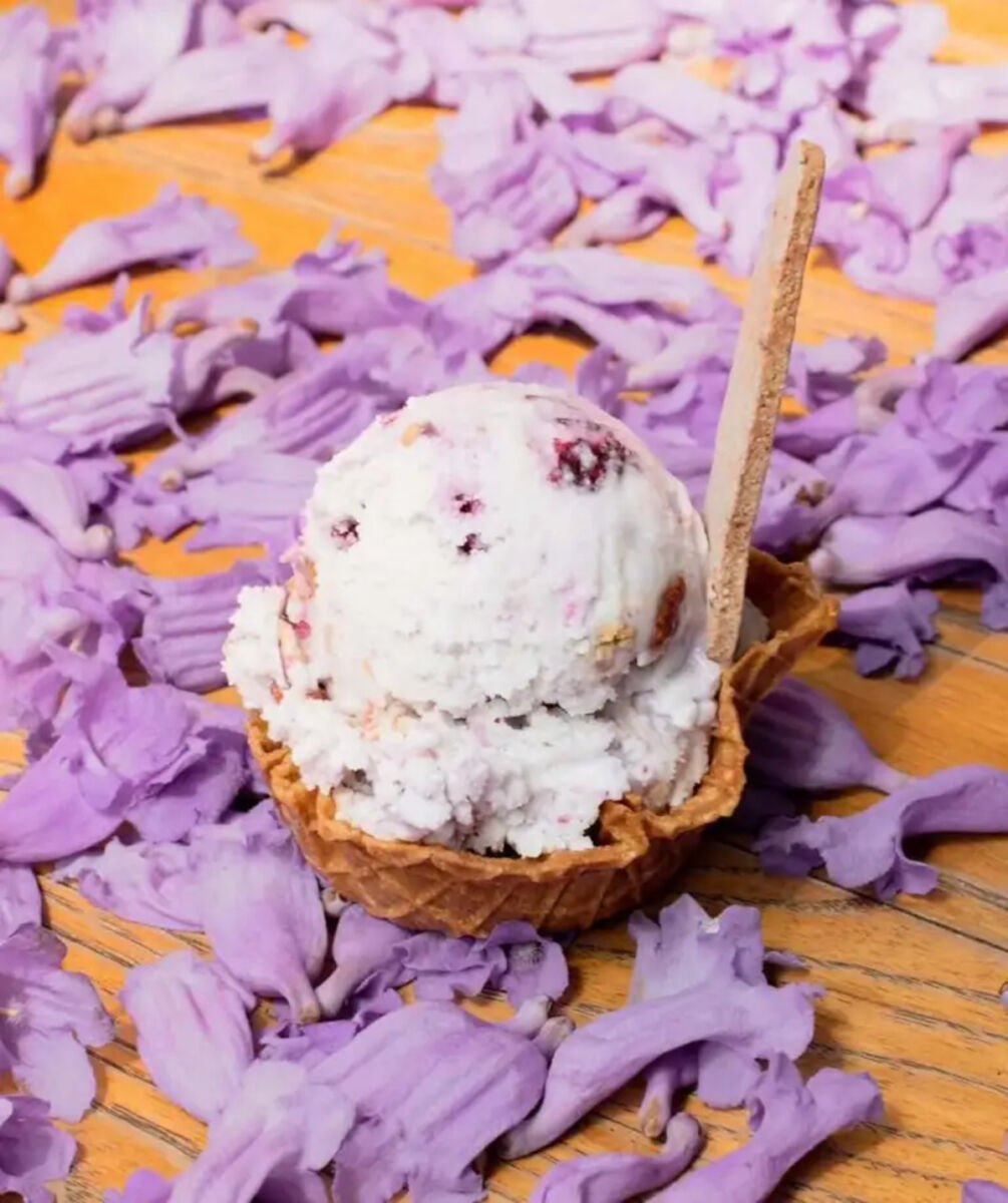 temporada Flor y Fruto de Nieve de Olla en CDMX hasta el 3 de mayo de 2026