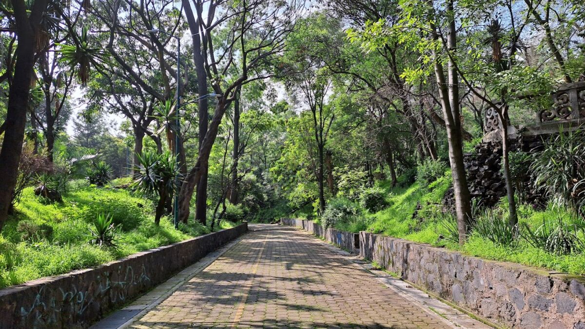 áreas verdes del Parque Lira, en CDMX 