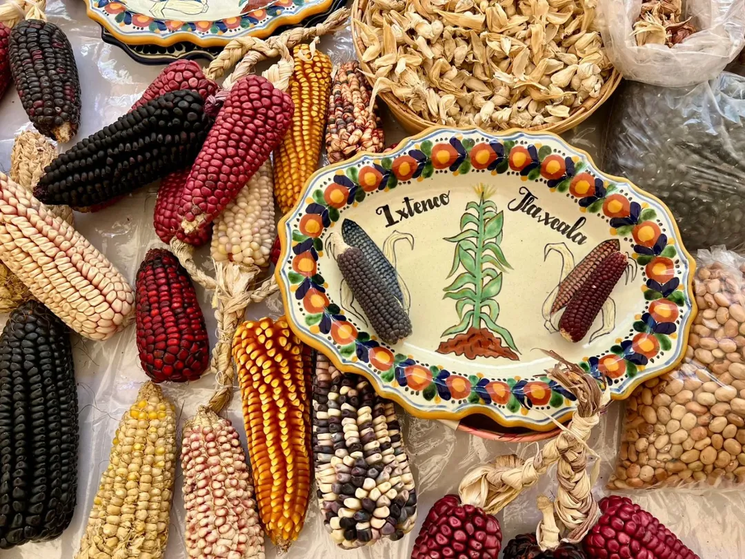 feria del maíz en el pueblo de Ixtenco 