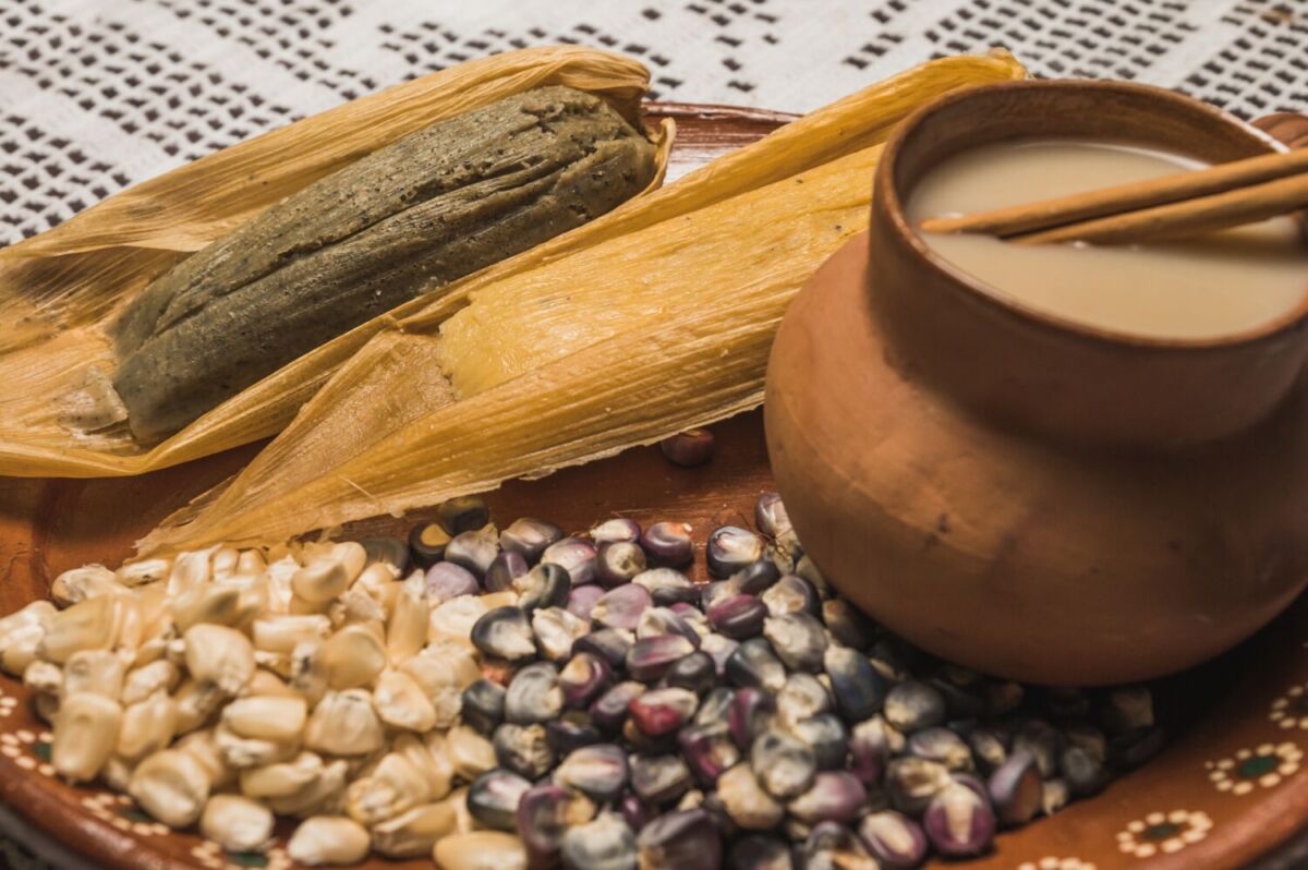 taza con atole de maíz y tamales de maíz criollo
