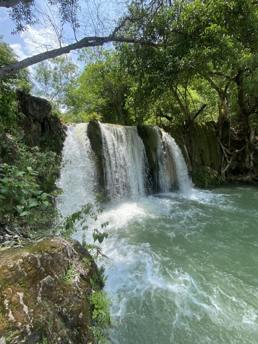 cascada rodeada de vegetación 