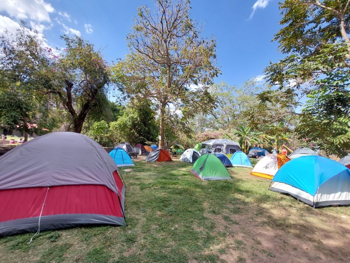 casas de campaña en medio de la naturaleza 