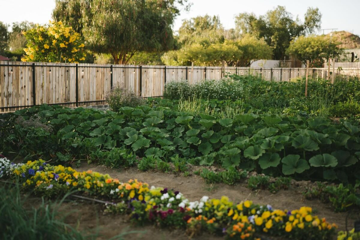 huerto olivea farm to table