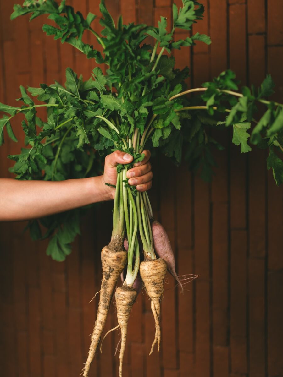 Olivea Farm To Table ensenada