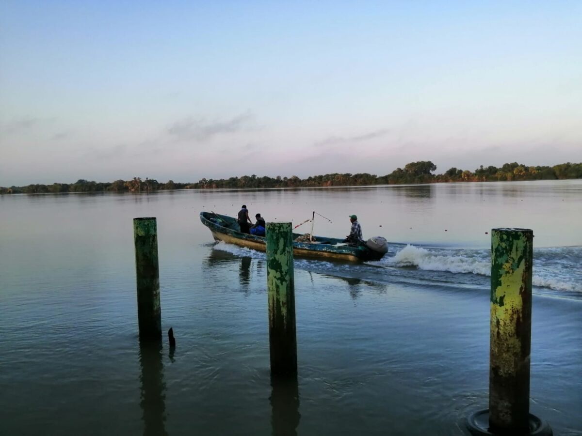 Paseos en lancha por los Pantanos de Centla