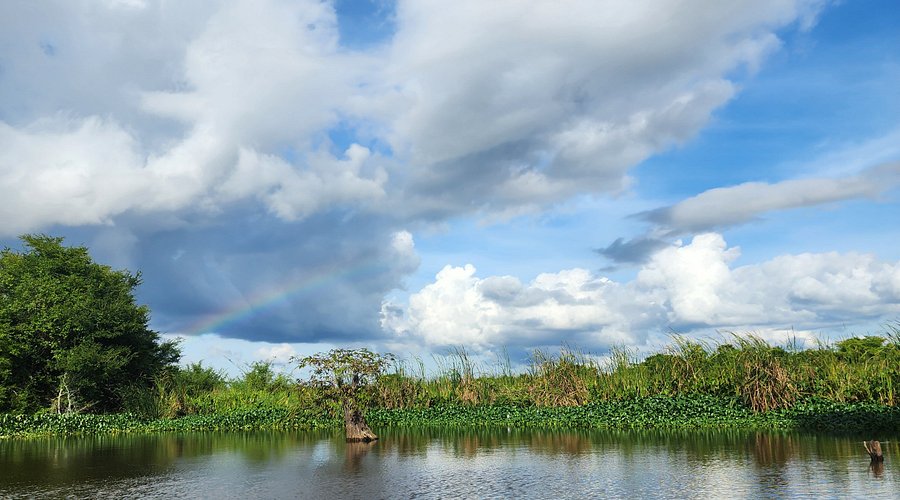 pantanos de centla tabasco