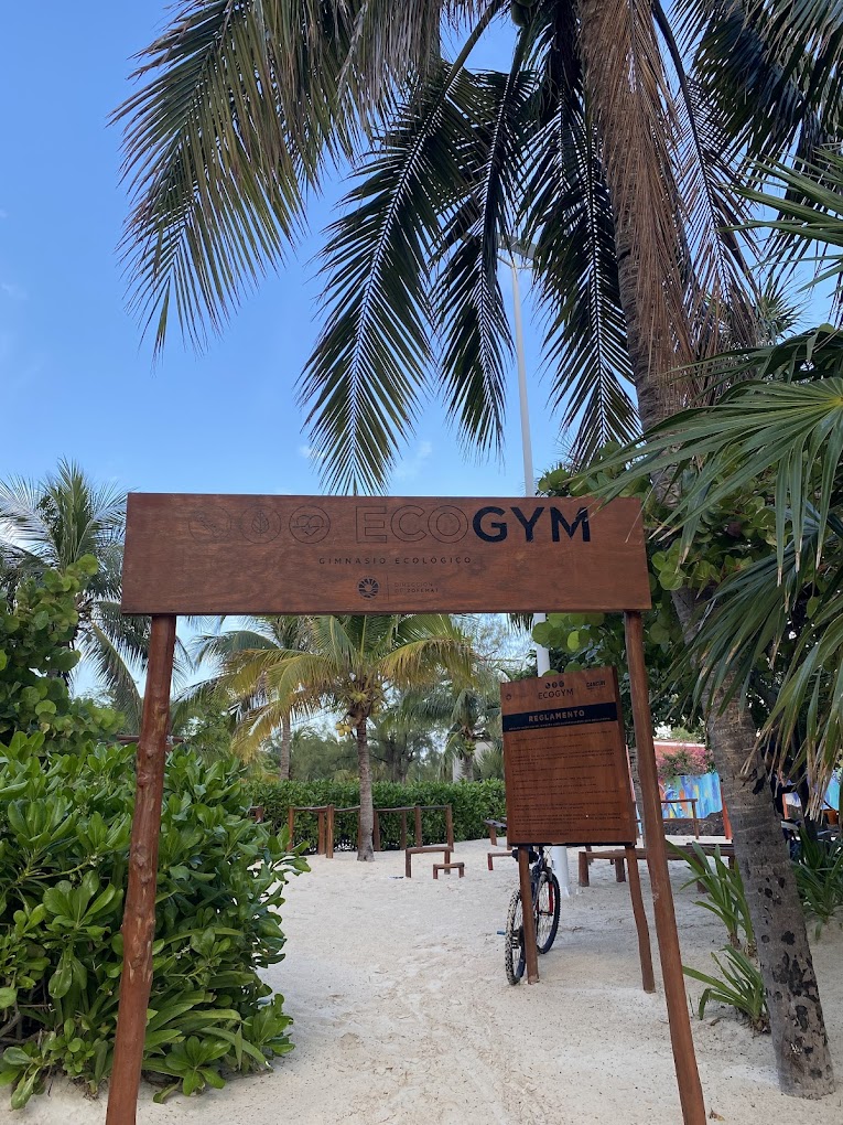 Ecogym es un gimnasio hecho con maderas 