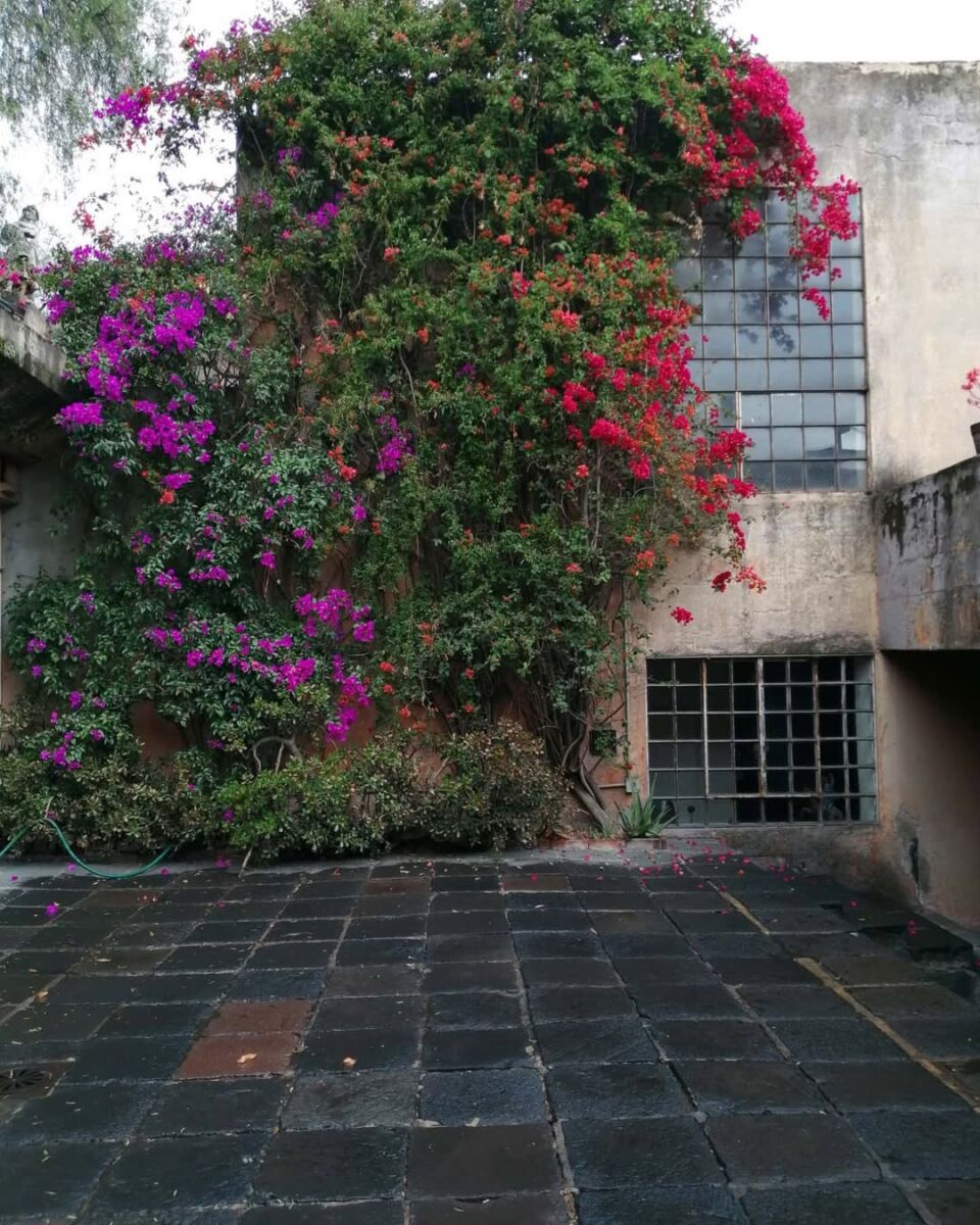 Casa Ortega es el laboratorio de Barragán, donde fusione la arquitectura con la naturaleza 