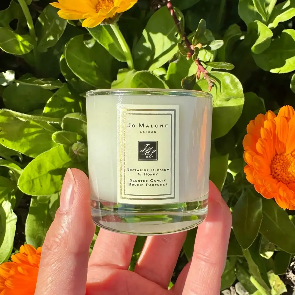 vela aromatica de miel