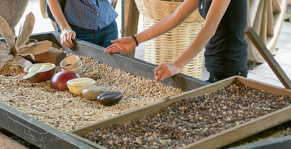 ruta del café en Coatepec, pueblo mágico de veracruz
