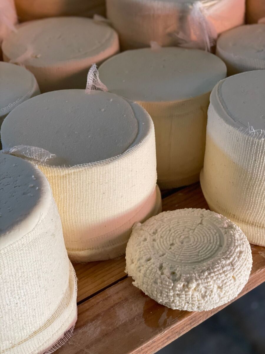 queso artesanal mexicano 