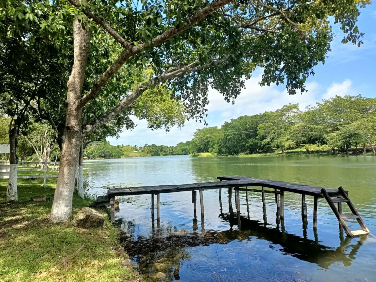 El río de México que parece salido de un cuadro de Monet y pocos lo conocen