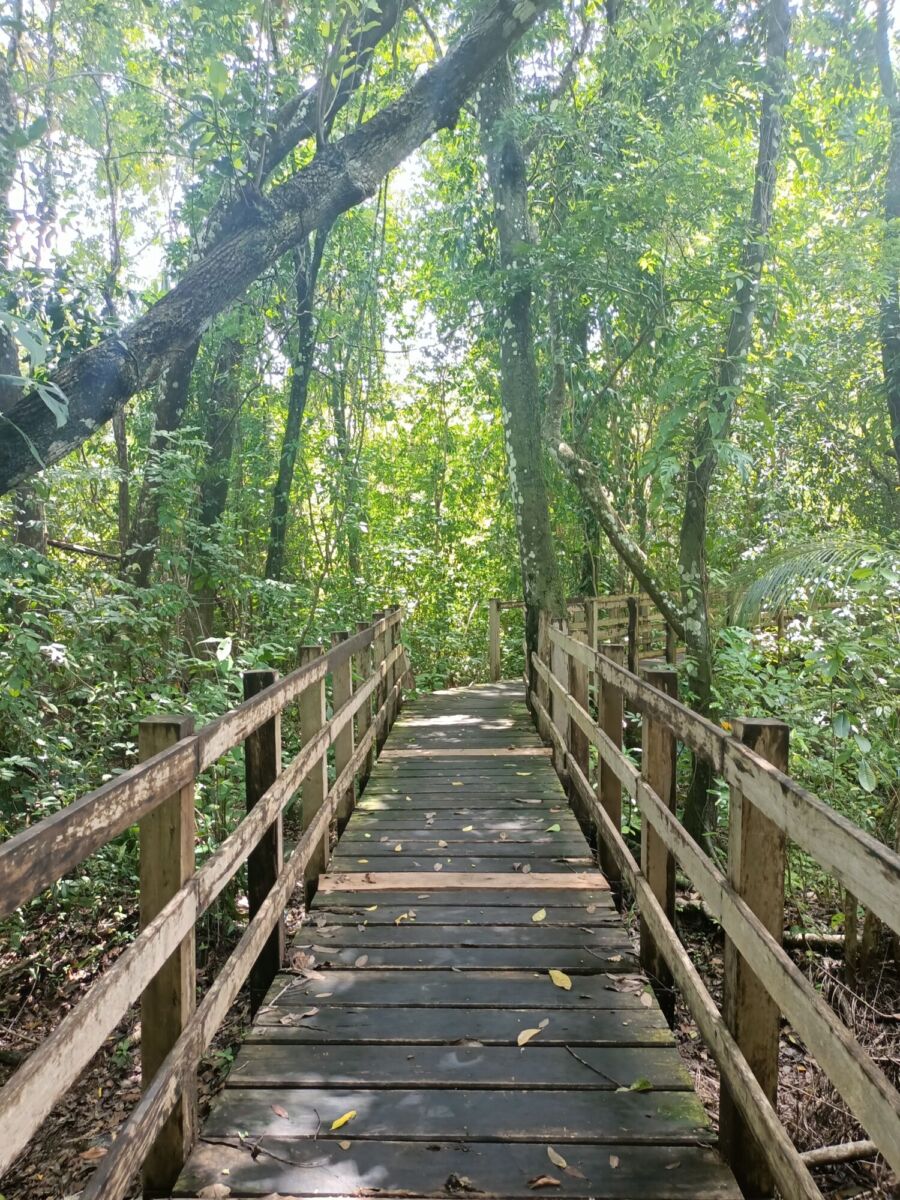  Pueblo Mágico de Candelaria