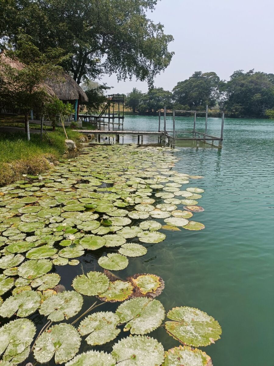 Río Candelaria, Campeche