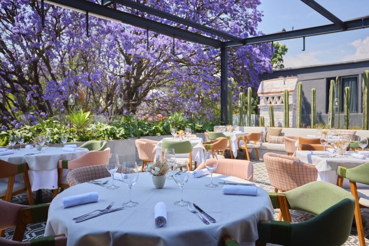 Rooftops secretos de la CDMX donde el plan es simple: subir, pedir algo rico y disfrutar de la vista