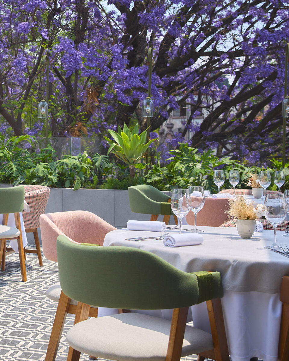 El rooftop de Zagala está debajo de la jacaranda más grande de Las Lomas