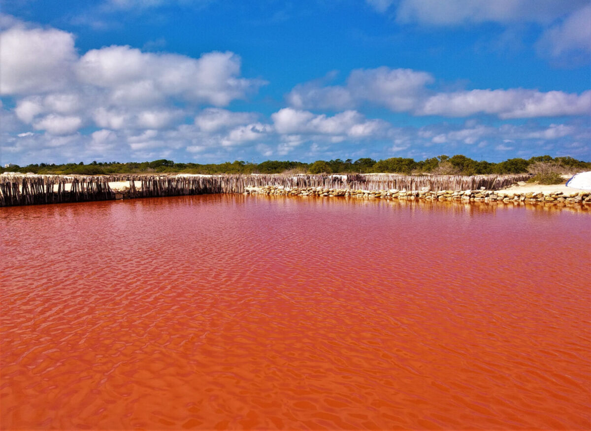 lagunas de un rosa intenso bajo el cielo azul en Yucatán